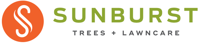 Sunburst Trees